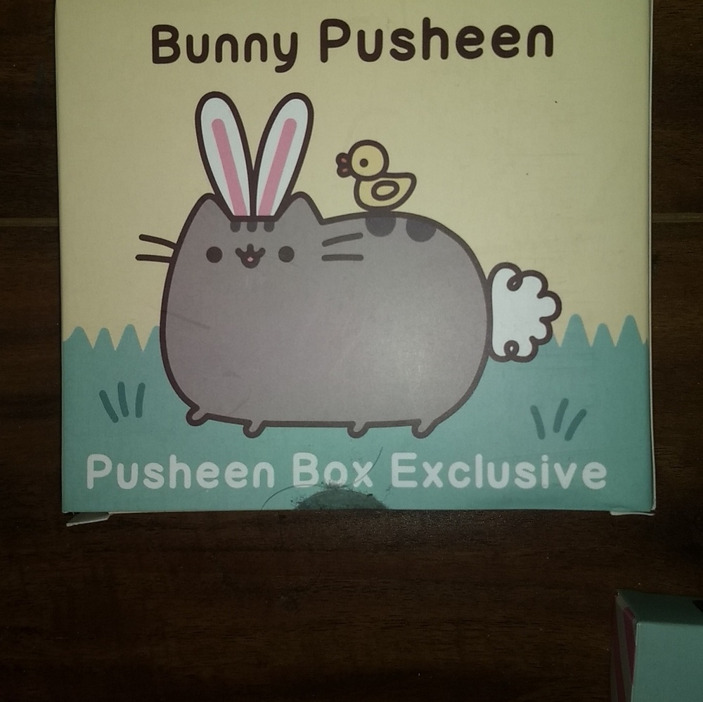 Bunny Pusheen vinyl